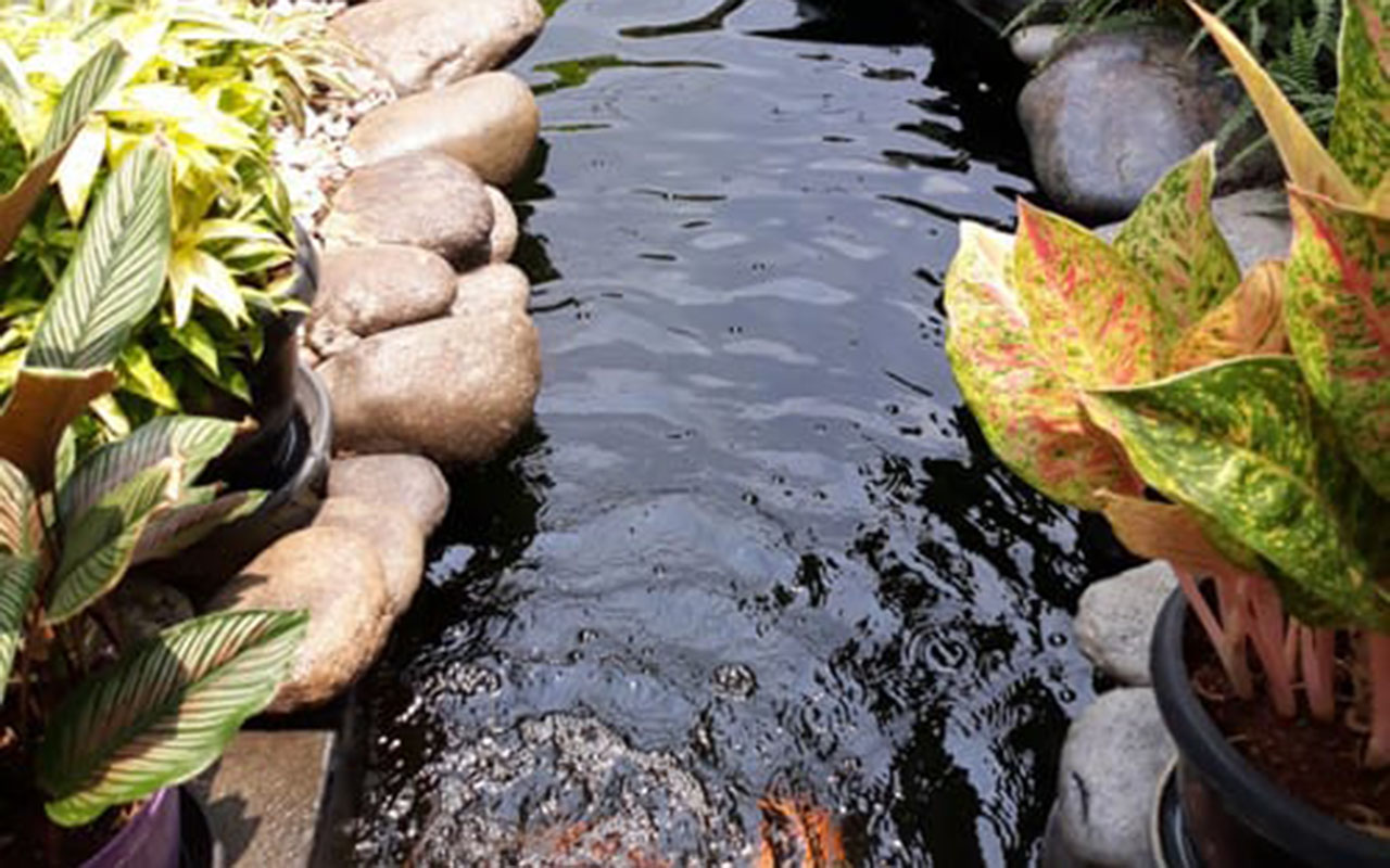 Rancang Bangun Kolam Hias Taman